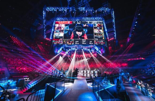 整体的组织 整体的组织